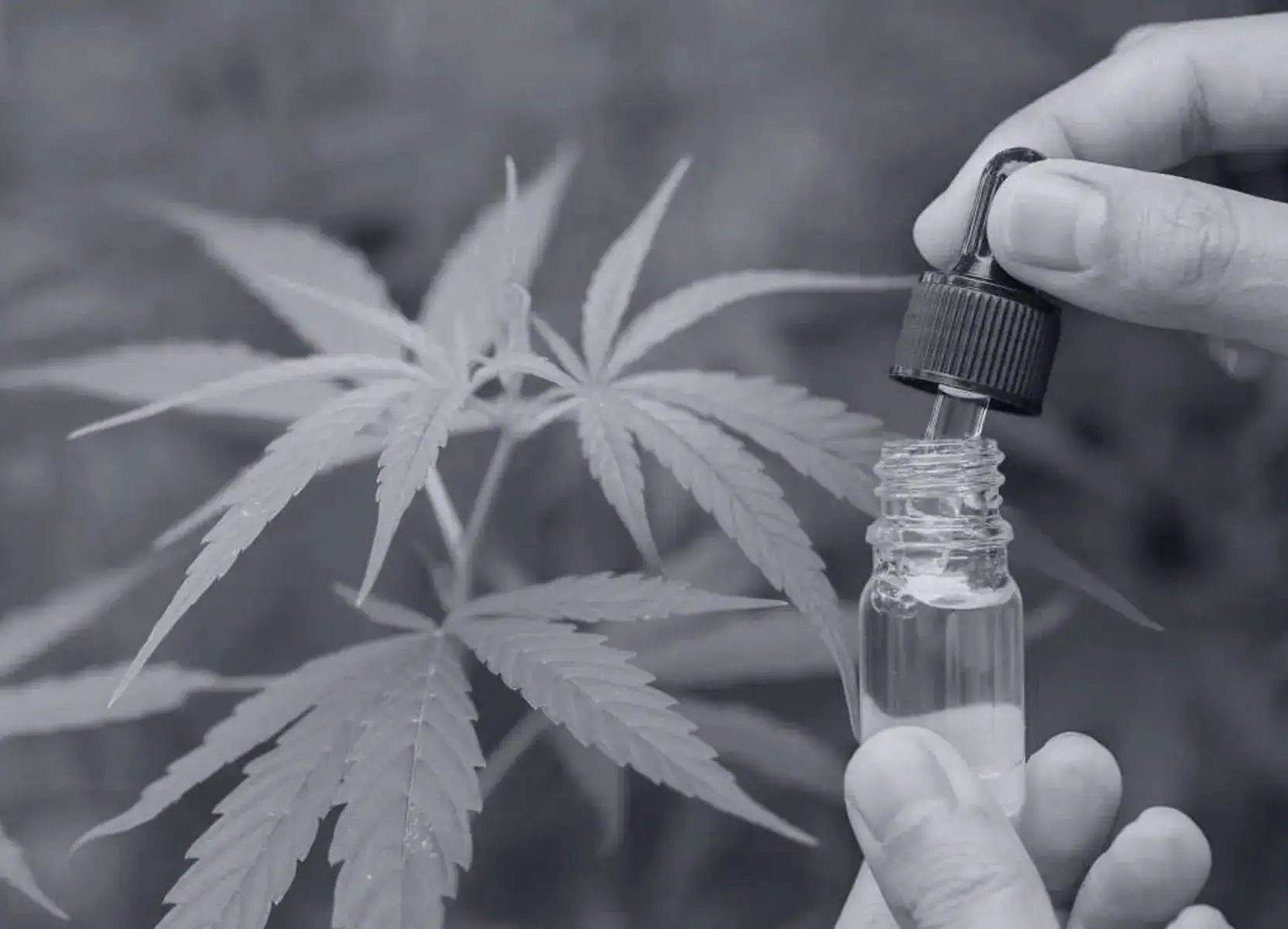 Health News Npr Cannabis Rueckenschmerzen